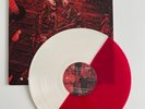 Believers Never Die: The Greatest Hits, Vol. 2 by Fall Out Boy (Record, 2020)