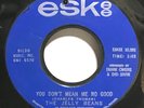 1965 The Jelly Beans “You Don’t Mean Me No Good” 45 on Eskee