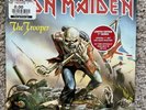 Iron Maiden 7