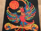 LP; RARE BIRD; Titel: RARE BIRD; inclusive Sympathy; Charisma Records; 1969