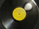 ESTUS PIRKLE  PROPHECY OF A DOOMED AMERICA LP CATHEDRAL INDUSTRIES EX VINYL