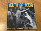 Youth Of Today Break Down The Walls LP Revelation 1988 Gorilla Biscuits Judge