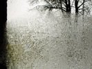 BON IVER FOR EMMA, FOREVER AGO NEW SEALED VINYL LP IN STOCK