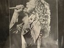 led zeppelin vinyl kashmir In Plastic Case