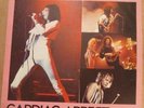 Queen Cardiac Arrest Vinyl