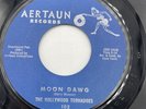 HOLLYWOOD TORNADOES: inebriated surfer / moon dawg AERTAUN 7