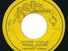 LIGHTNIN' HOPKINS - Wonder What Is Wrong / Bad Boogie - ACE - Blues R&B 45
