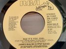RARE JAMES WALSH GYPSY BAND - CUZ IT'S YOU GIRL 45 RCA PROMO SOUL, NORTHERN 1978