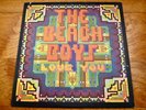 The Beach Boys Love You  Rare 1977 Reprise Records Original Vinyl LP w/Insert
