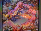 Red Hot Chili Peppers Return of the Dream Canteen Limited Foil Print