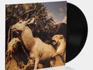 Interpol - Our Love To Admire 2xLP Vinyl Record