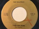 GARAGE PUNK The Skaliwags TURN HIM DOWN / 365 DAYS A YEAR 45 rare KILLER Canada