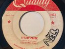 GARAGE PUNK The Guess Who IT'S MY PRIDE Quality 45 rare Canadian KILLER fuzz