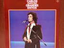 Roberto Carlos – Canta Sus Grandes Exitos [1980] Vinyl LP Rock Latin Pop Ballad