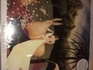 MIDORI TAKADA THROUGH THE LOOKING GLASS-VINYL