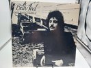 Billy Joel LP Cold Spring Harbor LP Record 1971 DJ Copy Ultrasonic Clean EX cVG+