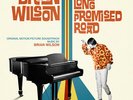 Brian Wilson - Long Promised Road (Original Motion Picture Soundtrack) - (Vinyl,