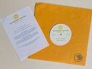 SUNSHINE SOUND * I FEEL LOVE / FASTER & FASTER * OOP UK 10