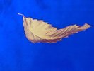 NEW ORDER TRUE FAITH/1963 LP