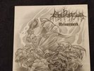 Leichenzug - Meisterwerk LP German Black Metal Absurd Nordglanz Totenburg