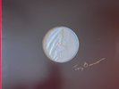 SNOWFALL THE TONY BENNETT CHRISTMAS ALBUM HAND SIGNED TEST PRESSING 12