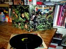 SAVOY BROWN ( A STEP FURTHER ) ORIG 1969 BLUES psych VINYL gatefold LP vg / VG++