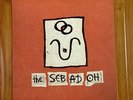 The Sebadoh (1999, Sub Pop) Album Vinyl LP Record, 1st Press - NM