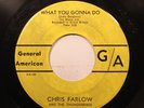 Hear  Rock Blues 45 Chris Farlow - What You Gonna Do / Just A Dream On Ga