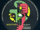 THE BLACK DIAMONDS - I want, need, love you 7