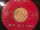 HEAR- WILD GAL ROCKER - BRENDA HOLLY w/DARWIN NELSON -CRAZY LITTLE HEART- EUNICE