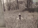 Taylor Swift folklore 