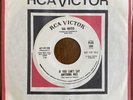 Gia Mateo If You Can't Say Anything Nice Rare Northern Soul RCA Promo Record 45