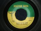 JOHNNY & THE ATTRACTIONS  -  COMING ON THE SCENE   (ROCKSTEADY)  45