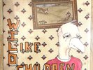 TILLY AND THE WALL WILD LIKE CHILDREN LP SEALED RARE VINYL RECORD
