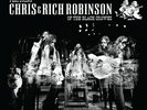 Brothers Of A Feather: Live At The Roxy - Black Crowes New Sealed Vinyl 2lp