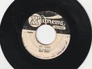 REGGAE 45 SUPREME LABEL BOB ANDY / ROY RICHARDS 