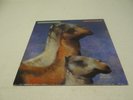 The Roches - We Three Kings - Rare 1990 Vinyl Album - VG/NM Condition