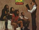Steel Pulse True Democracy  (Vinyl)  (US IMPORT)