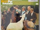THE BEACH BOYS — Pet Sounds (Simply Vinyl - SVLP 149) 1999 180g pressing, mono