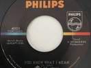 DICK St. JOHN You Know What I Mean 45 Philips —NM | fuzz garage Rare