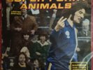 Super Furry Animals. The Man Don't Give A Fuck. 1996 Vinyl 12