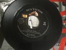 ElVIS 