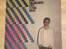 Noel Gallagher's High Flying Birds - Where the City Meets the Sky 12
