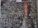 SIOUXSIE & THE BANSHEES - JUJU LP 1981 USA IMPORT + FREE 