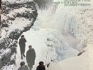 ECHO & And THE BUNNYMEN Porcupine NEW WHITE VINYL Rhino Website Exclusive LP OOP