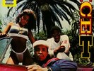 ICE T - RHYME PAYS · LP · YELLOW VINYL · new & sealed