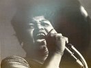 Big Mama Thornton w Muddy Waters Blues Band Chicago Blues Band US 1966 Arhoolie