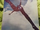 Free LP Free (Same) Pink 