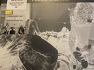 Nirvana Bleach blue & Black Marble Color NEW SEALED LP Vinyl Record 2500 Made