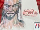 DAVID BOWIE BRILLIANT ADVENTURE (1992-2001) BOX SET  New and Sealed  RRP £349